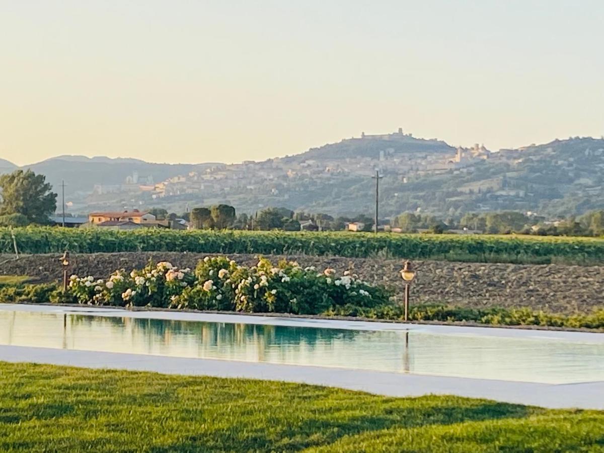 San Vitale Borgo Degli Angeli Resort E Spa מראה חיצוני תמונה